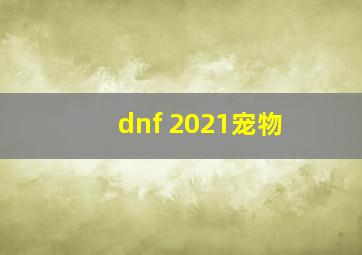 dnf 2021宠物